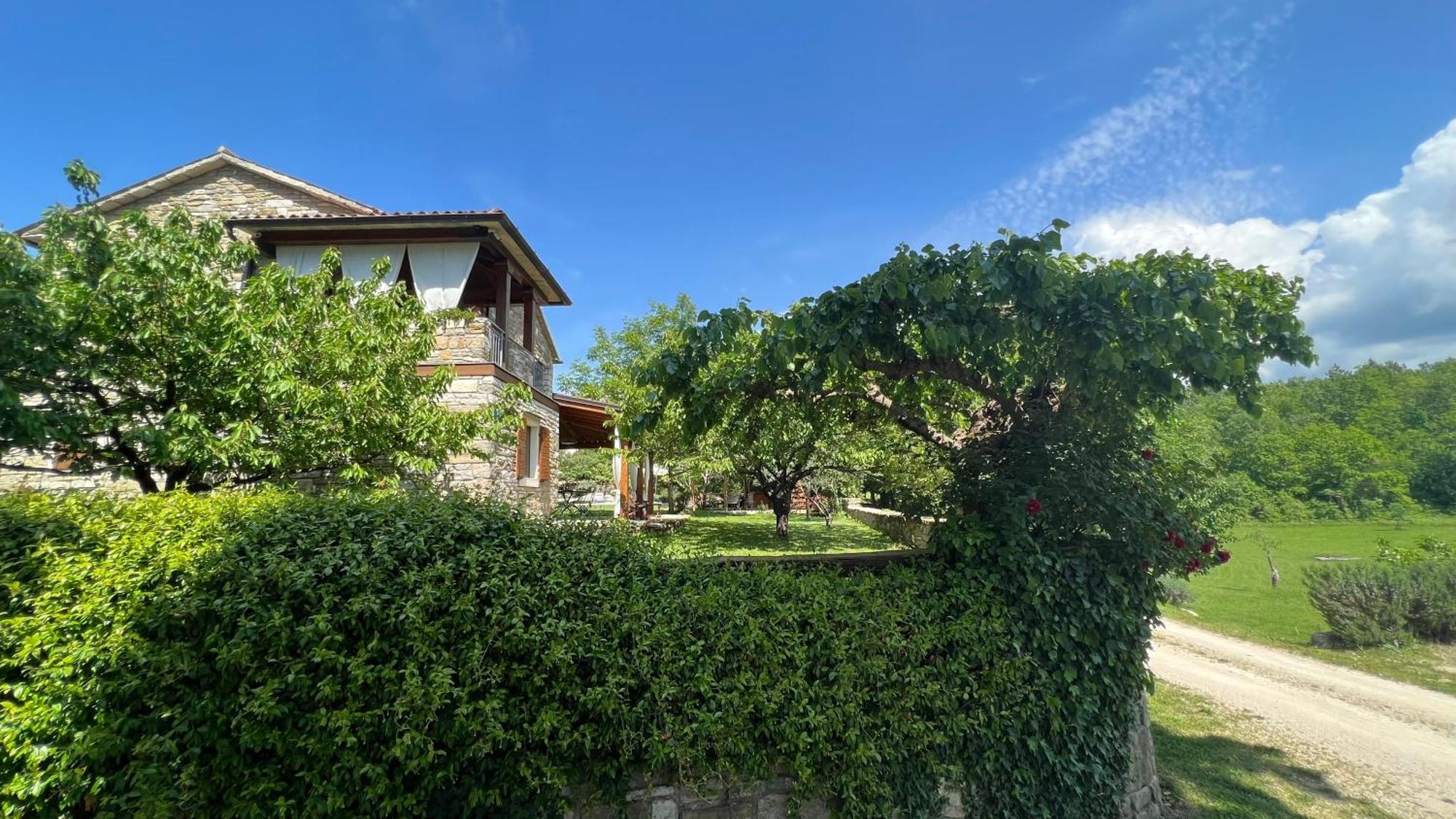 Holiday Home Casa Dei Farfui Momjan Exterior foto