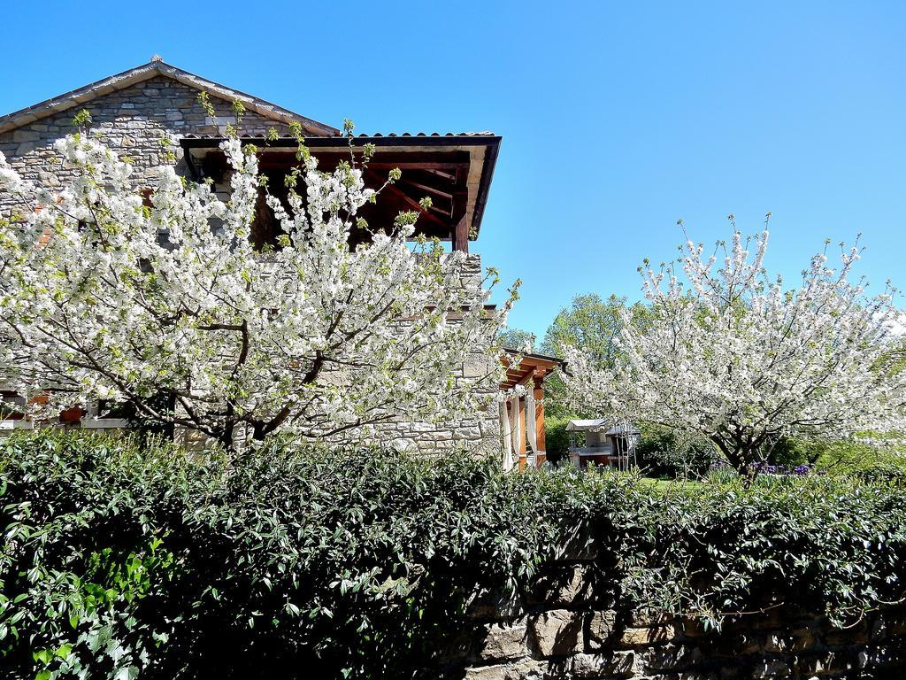 Holiday Home Casa Dei Farfui Momjan Exterior foto